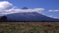 Mt. Taranaki (bzw. Mt. Egmont) von der Straße.