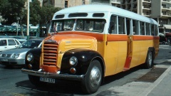 Auf Malta fährt man (im historischen) Bus.