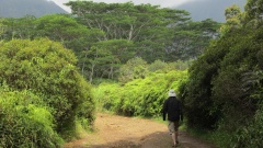 Wandern auf Kauai: Auf dem Weg zu den Wailua Falls.