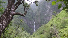 Kauai: Entlang des herrlichen Kalalau Trails zu den Hanakapi'ai Falls.