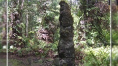 Big Island: Lava Tree im gleichnamigen State Monument.