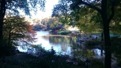 New York: Der Central Park.