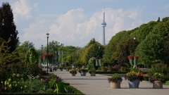 Blick nach Downtown Toronto von Toronto Island.