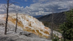 Yellowstone NP: Mammoth Hot Springs.