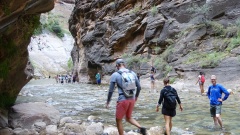 Zion NP: Wandern im Virgin River.