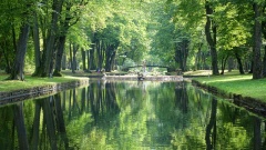 Im Hofgarten (1 von 3).