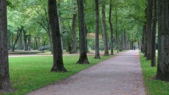 Im Hofgarten (2 von 3).